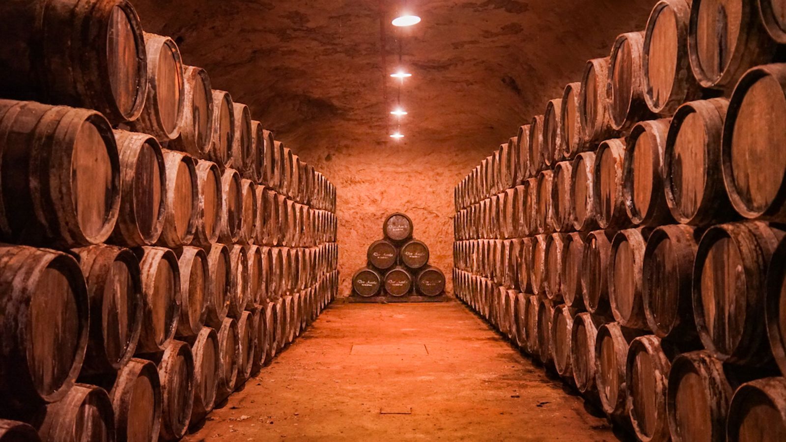 valdepenas antigua bodega los llanos cueva barricas