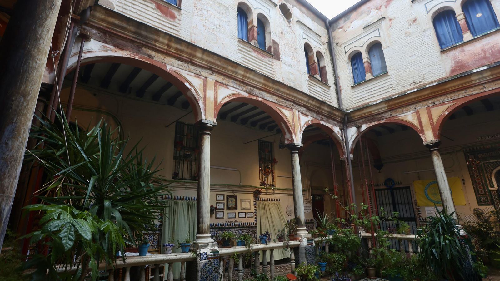 Test galería Joly bug