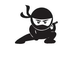 Ninja