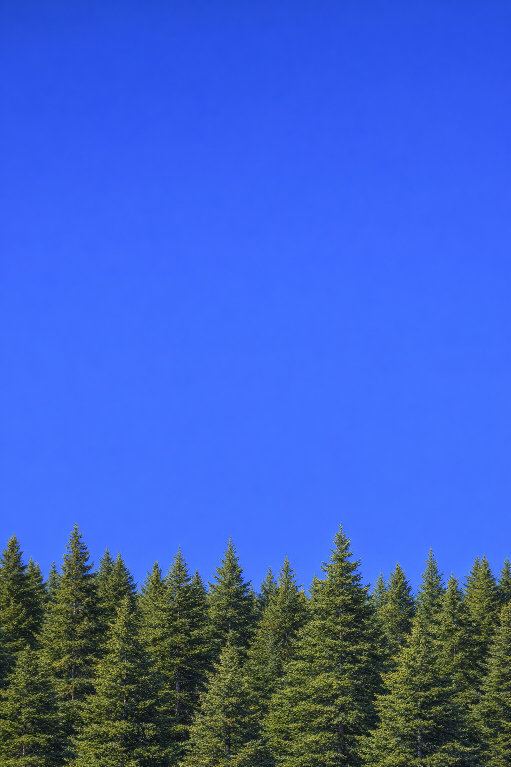png vertical 1024,1536